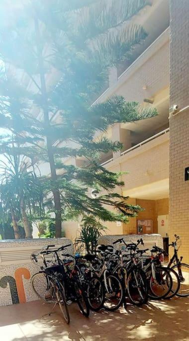 Apartamento Oropesa Del Mar- Marina D'Or- Magic World Vt30371Cs Esterno foto